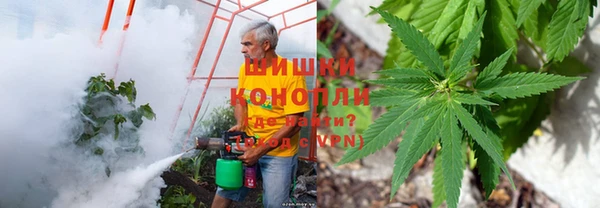 гидропоника Горняк