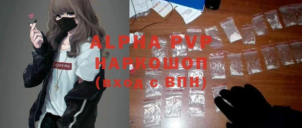 прущие грибы Волосово