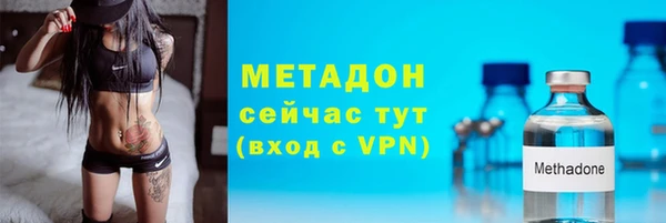 прущие грибы Волосово